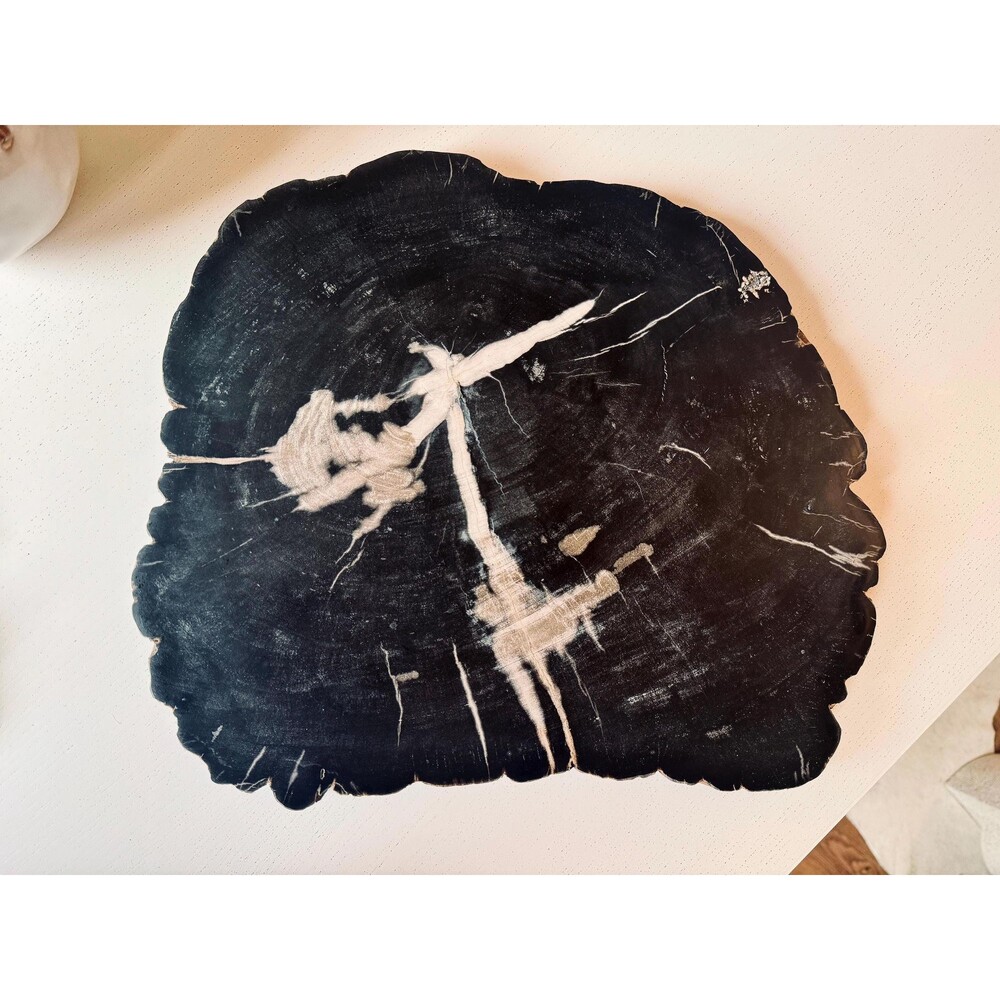 Extra Large Polished Petrified Wood Slab | Organic Modern Statement Decor Piece